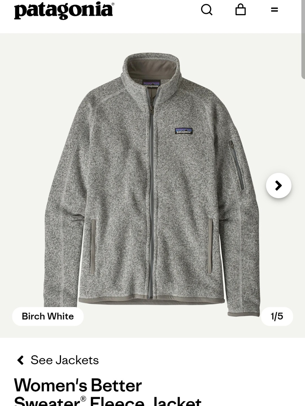 Patagonia Birch White Lightweight Fleece Jacket